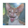 Angry Roo Magnet