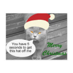 Angry Santa Cat Post Cards