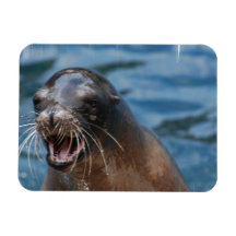 Angry Sea Lion Flexible Magnet