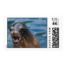 Angry Sea Lion Postage Stamp