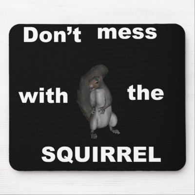 Angry Squirrel Mousepad by squirrel27