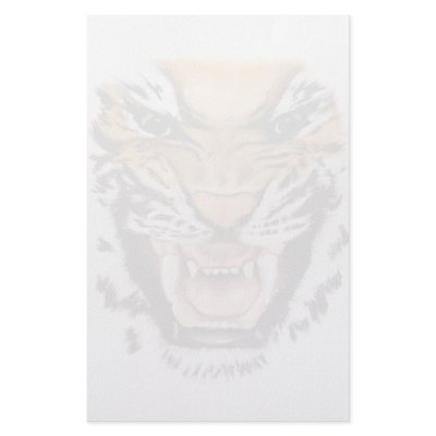 Angry Tiger STATIONERY by Lotacats