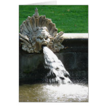 Angry Water Spirit cards