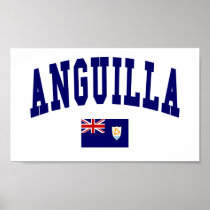 Anguilla College Style Poster