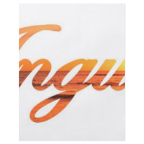 Anguilla Flyers