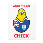 Anguillan Chick Post Cards