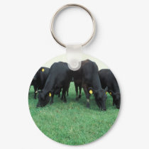 Angus cattle keychains