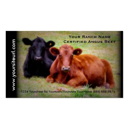 Angus Cattle Photo for  Beef Ranch or Farm Business Card (front side)
