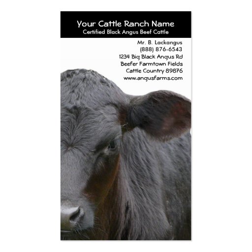 Angus Cow  Closeup Photo for Farmers Business Card Template (front side)
