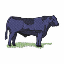 Angus Embroidered Hoodie