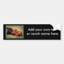 Angus Love - Pair of Cattle Side by Side Bumper Sticker