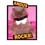 Angus rocks shirt