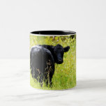 Angus Steer in Tall Yellow Grass mugs
