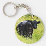 Angus Steer in Tall Yellow Grass Key Chains