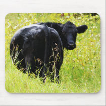 Angus Steer in Tall Yellow Grass Mousepad