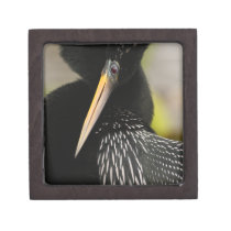 anhinga agility premium keepsake box