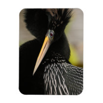 anhinga agility rectangle magnets
