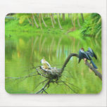 anhinga and babies mousepads