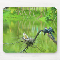 anhinga and babies mousepads