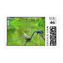 anhinga and babies postage
