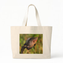 Anhinga and Fish Canvas Bag