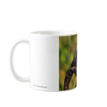 Anhinga and Fish Mug