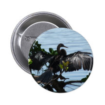 Anhinga Anstecknadel