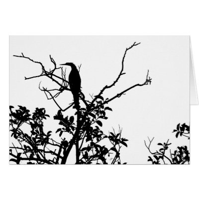 Anhinga Bird Card by moonrisings