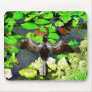 Anhinga bird, Everglades National Park, FL Mouse Pad