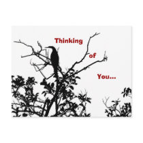 Anhinga Bird Post Card