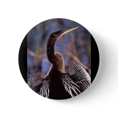 anhinga pin by WorldDesign