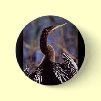 anhinga buttons