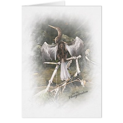 anhinga cards by marilyn_hoogstraten