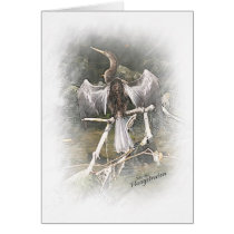 anhinga cards