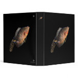 anhinga displaying fish 3 ring binder