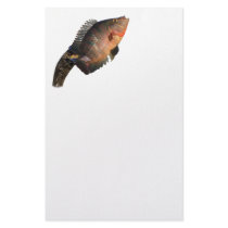 anhinga displaying fish stationery by WorldDesign anhinga displaying fish stationery