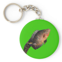 Anhinga Displaying Meal Keychain