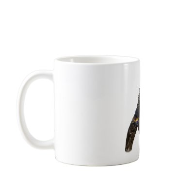 Anhinga Displaying Meal Coffee Mugs by WorldDesign