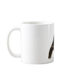 Anhinga Displaying Meal mugs