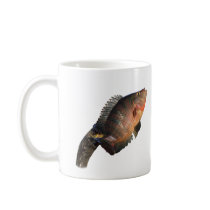 Anhinga Displaying Meal Coffee Mug