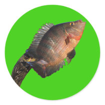 Anhinga Displaying Meal Sticker