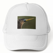 anhinga mesh hats
