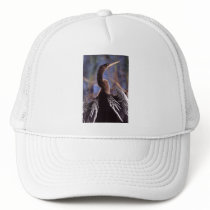 anhinga trucker hats