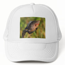 anhinga trucker hats