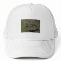anhinga mesh hat
