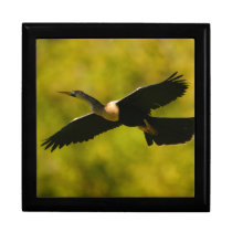 anhinga in flight trinket box