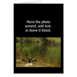 Anhinga in the Everglades - Business Card