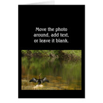 Anhinga in the Everglades - Business Card