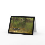 Anhinga in the Everglades Greeting Card