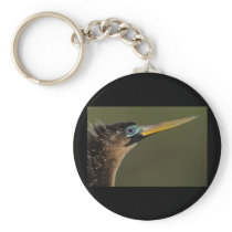 anhinga key chains